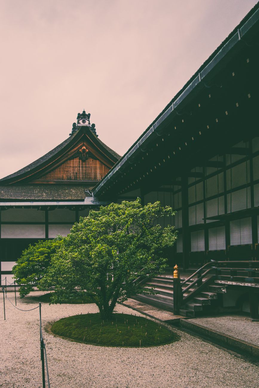 Kyoto ancient moss gardens and cedar forests