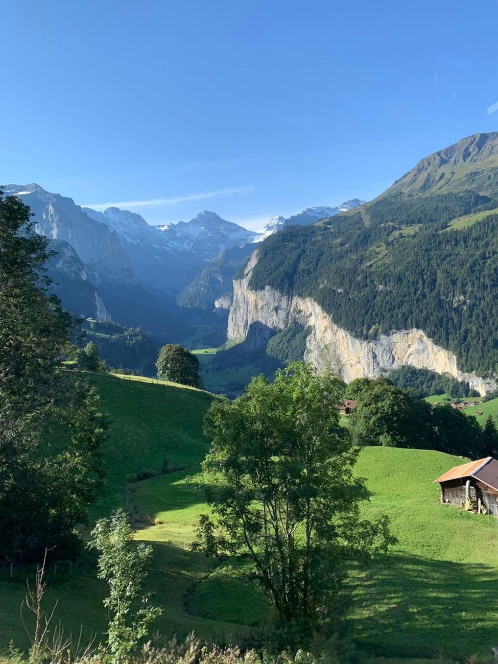 Swiss Alpine wellness retreats